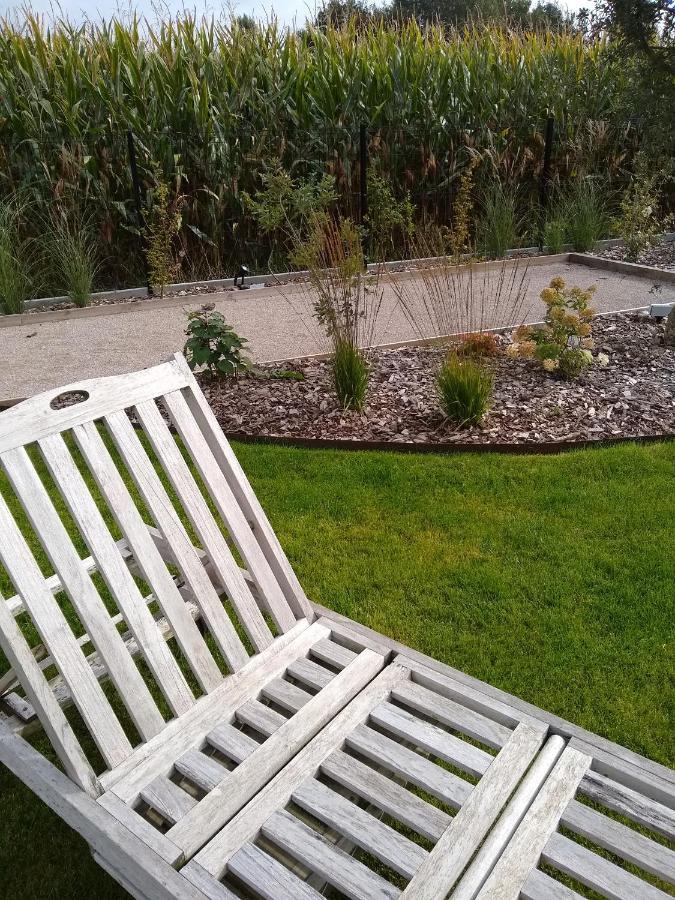 Les Agapanthes Bed & Breakfast Camphin-en-Pevele Exterior foto